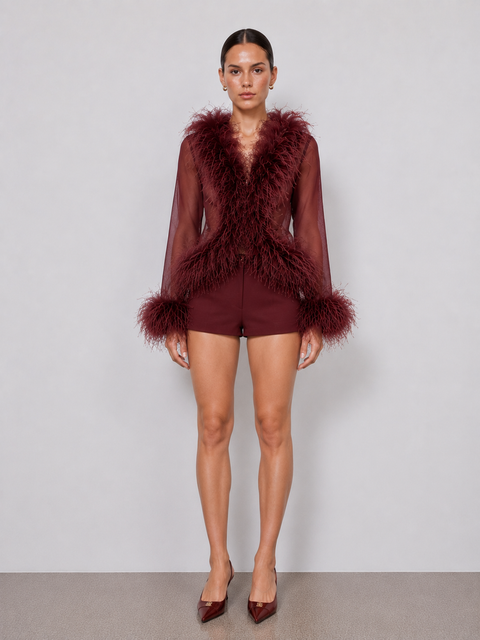 Rowana Long-Sleeve Feather Trim Top In Burgundy