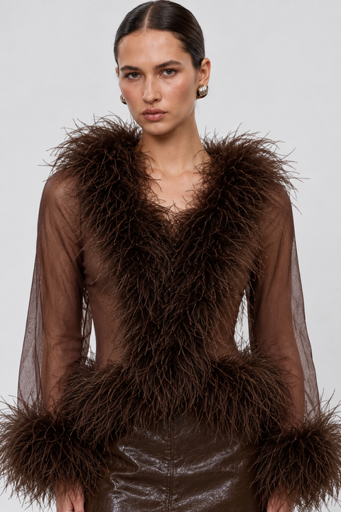 Rowana Long-Sleeve Feather Trim Top In Brown